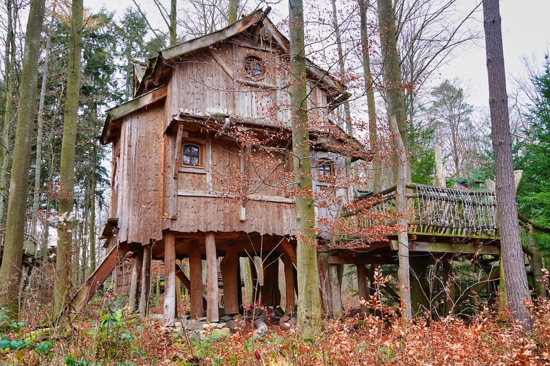 Treehouse Lodge
